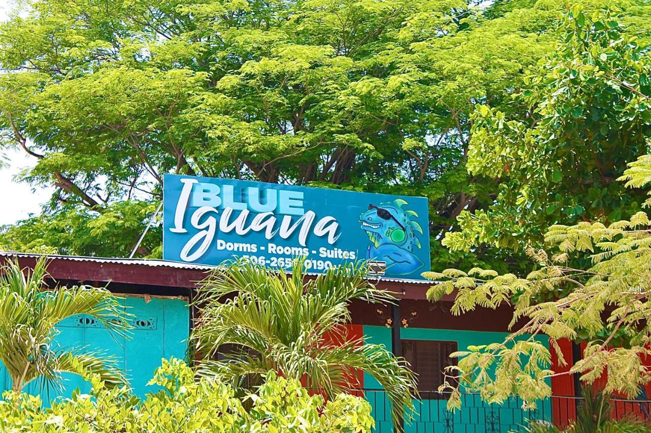 Blue Iguana 호텔 Sámara 외부 사진